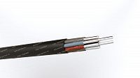 Кабель АКПсВГ 10х6